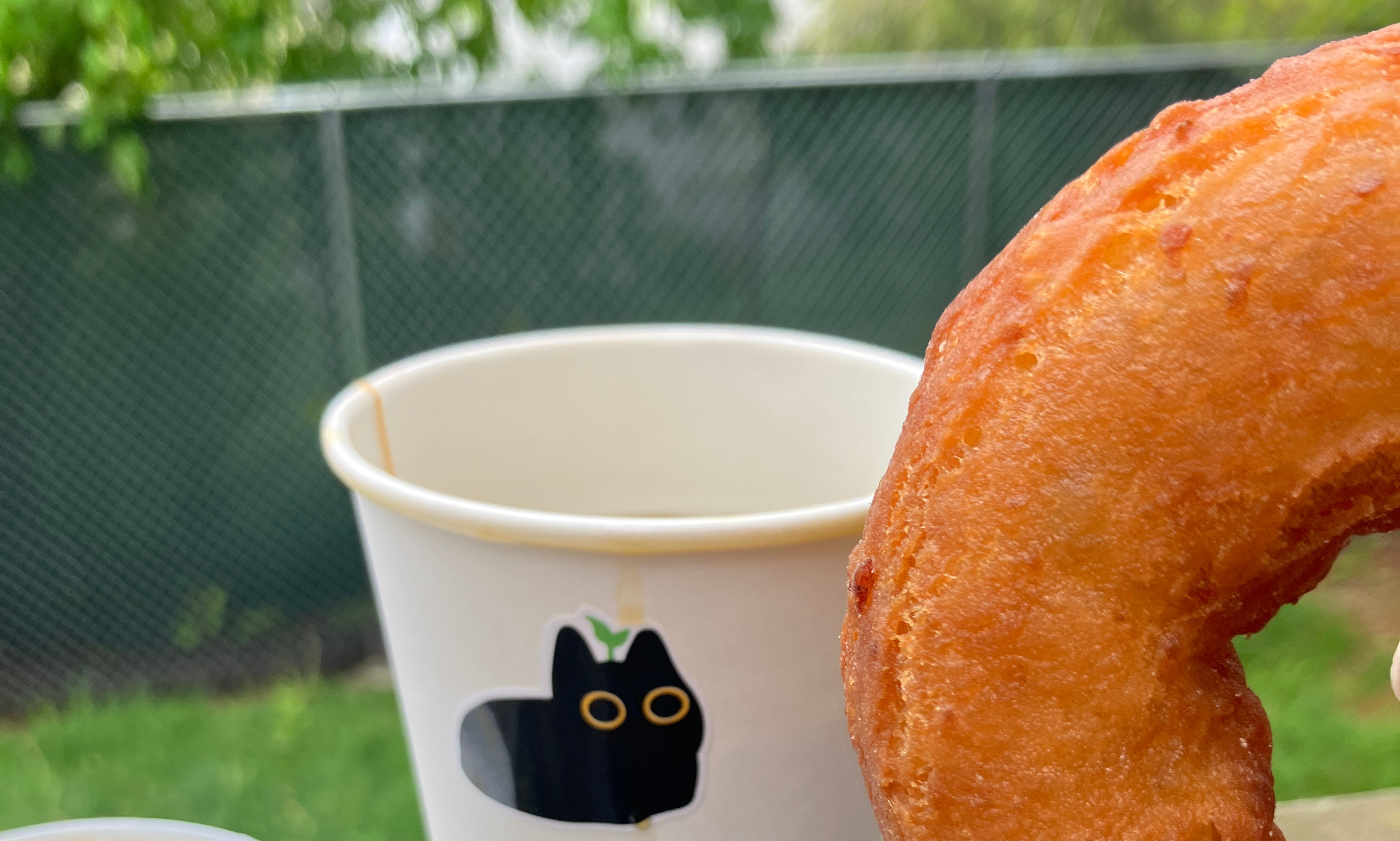 Paper coffee cup with a die cut sticker of a cartoon black cat loafing with a plant growing out of its head. To the left and occluding the cup is an old fashioned donut. in the background is a yard with a chain-link fence with green privacy strips.